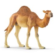 Dromedary Collectible Figure