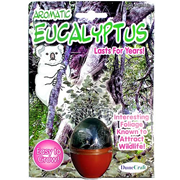 Aromatic Eucalyptus Micro Terrarium