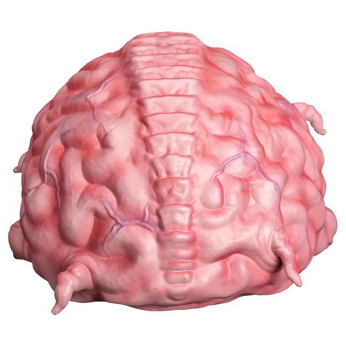 Teenage Mutant Ninja Turtles Krang 1:1 Scale Prop Replica