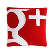 Google+ Logo Pillow