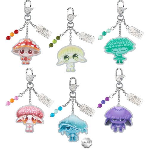 Capkins Mystery Box Acrylic Bag Charm Case of 12
