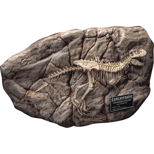 Wonder Wild Series Concavenator Dinosaur Fossil Replica Statue