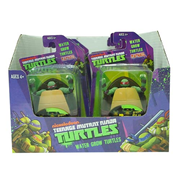 Teenage Mutant Ninja Turtles Water Grow Turtles Display Box