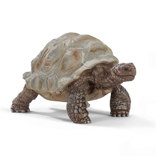 Giant Tortoise Collectible Figure