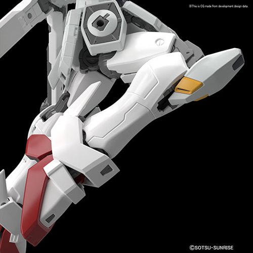 Crossbone Gundam #31 Crossbone Gundam X1 RG 1:144 Scale Model Kit