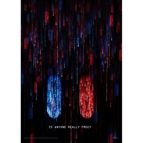 The Matrix 4 Is Anyone Really Free MightyPrint Wall Art Print