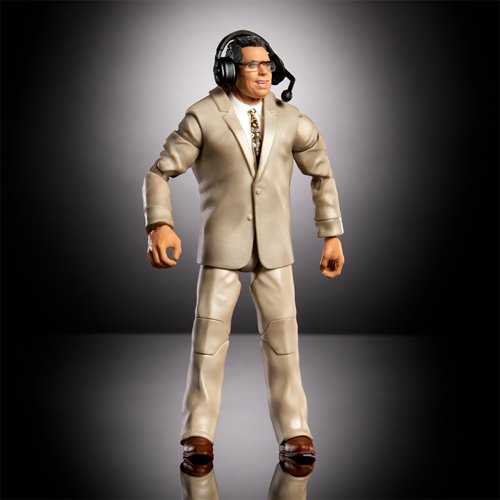 WWE Survivor Series Elite Action Figure Case of 5