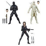 G.I. Joe Classified Series 6-Inch Action Figures Wave 5 Case