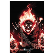 Ghost Rider Complete Series by Rob Williams Graphic Novel