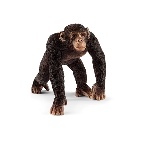 Wild Life Chimpanzee Male Collectible Figure