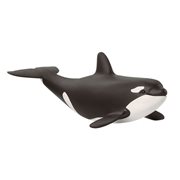 Baby Orca Collectible Figure
