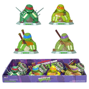 Teenage Mutant Ninja Turtles Ninja Bust Bank Display Box