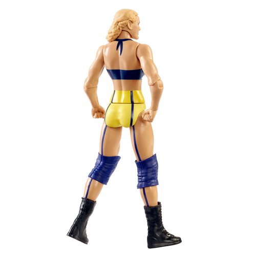 WWE Basic Figure Series 119 Action Figure Case