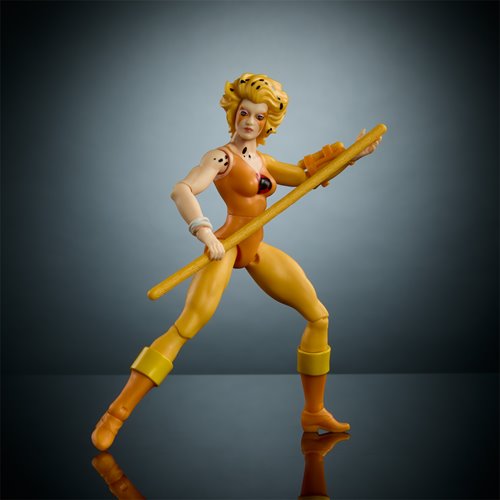 Motu x Thundercat Wave 1 Figure 2 Action Figure