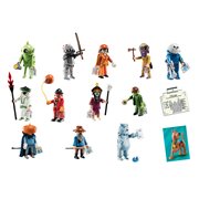 playmobil series 6