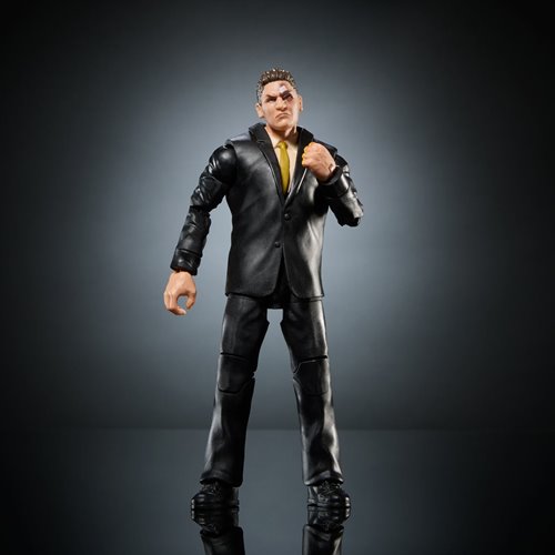 WWE SummerSlam Elite 2025 Action Figure Case of 5