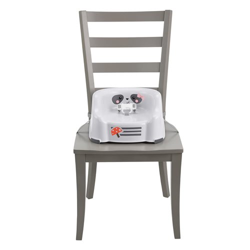 Fisher-Price Simple Clean and Comfort Raccoon Booster Seat