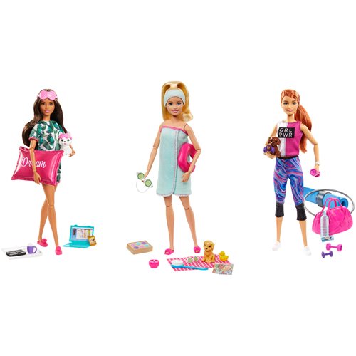 Barbie Wellness Doll Case