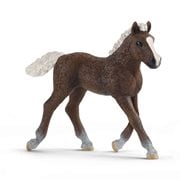 Black Forest Foal Collectible Figure