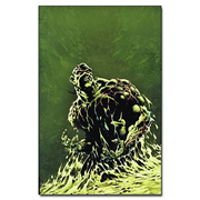 Roots of the Swamp Thing Hardcover Graphic Novel