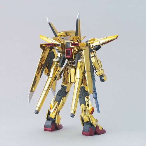 Mobile Suit Gundam Seed Destiny Oowashi Akatsuki Gundam High Grade 1:144 Scale Model Kit