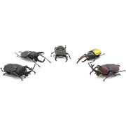 Beetle and Stag Beetle Hunter Mini-Figure Case of 10