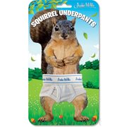 Squirrel Mini Underpants