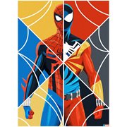 Web of Spider-Man by Danny Haas Lithograph Art Print
