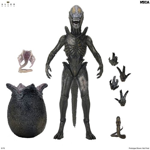 Alien: Earth Ultimate Wendy's Xenomorph 7-Inch Scale Action Figure