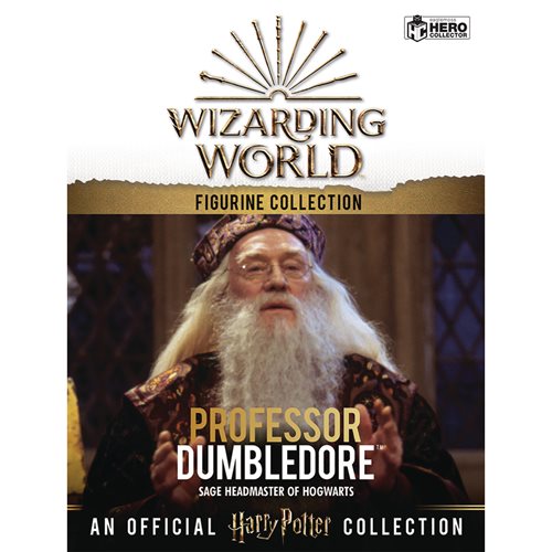 Harry Potter Wizarding World Collection Professor Albus Dumbledore Year 1 Figure with Collector Maga