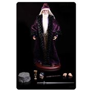 Harry Potter and the Sorcerer's Stone Albus Dumbledore 1:6 Scale Action Figure