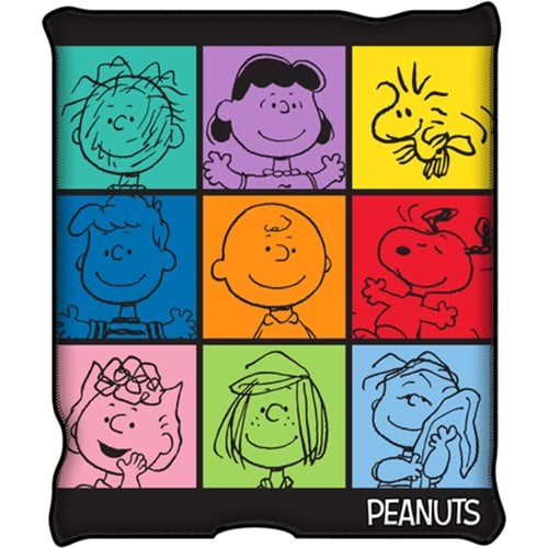 Peanuts Character Grid Raschel Throw Blanket