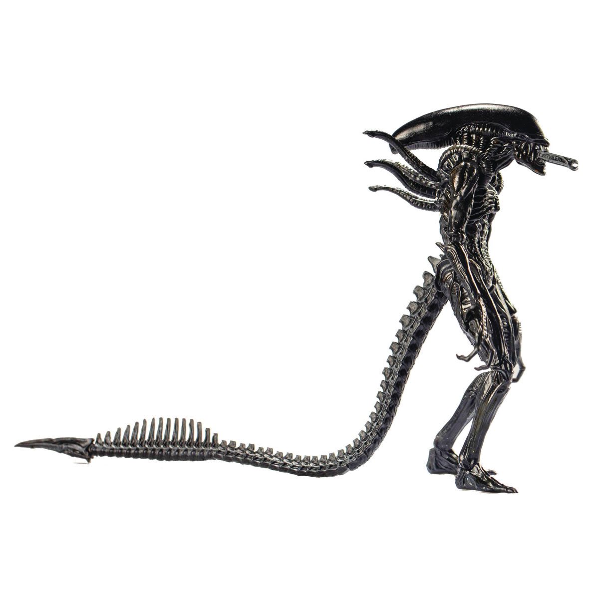 avp-alien-vs-predator-alien-warrior-1-18-scale-action-figure-previews-exclusive
