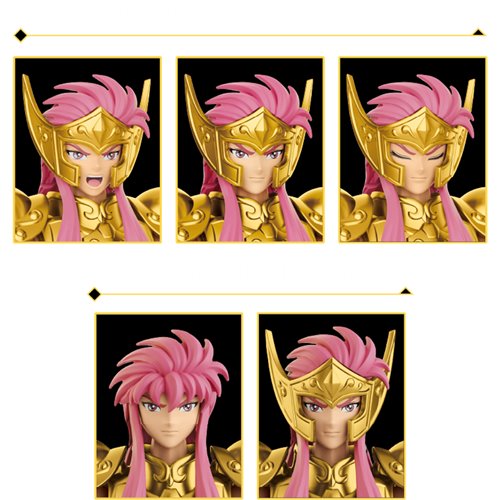 Saint Seiya Champion Class Aquarius Camus CC08 Blokees Model Kit