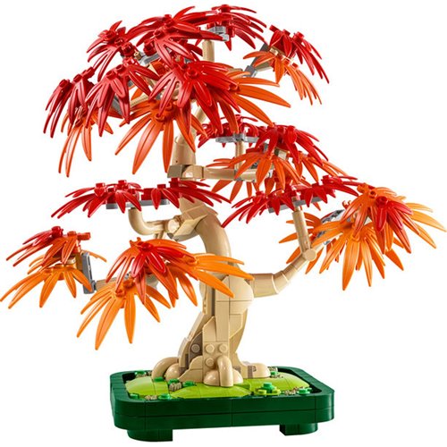 ribbon plant dracaena sanderiana Dracaena sanderiana 8