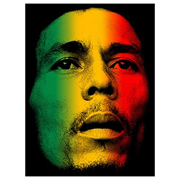 Bob Marley Rasta Color Face Micro Raschel Fleece Blanket